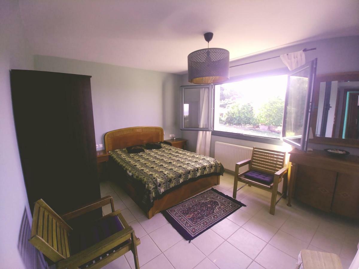 Villa Freebird Vip Bachelor Party & Wedding Events Pefkochori Dış mekan fotoğraf
